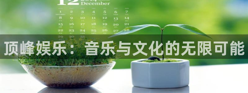 琳琅娱乐：顶峰娱乐：音乐与文化的无限可能
