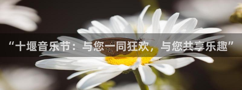 琳琅娱乐：“十堰音乐节：与您一同狂欢，与您共享乐趣”