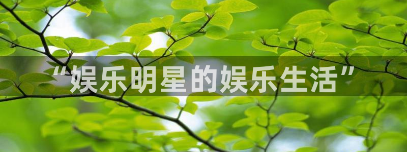 琳琅娱乐：“娱乐明星的娱乐生活”