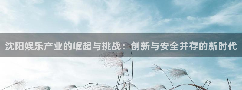 琳琅娱乐：沈阳娱乐产业的崛起与挑战：创新与安全并存的新时代