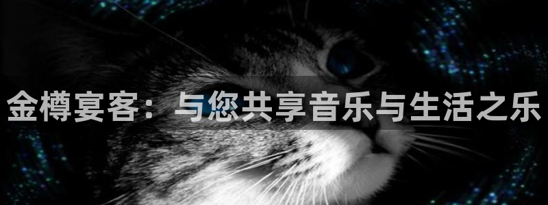 琳琅娱乐注册：金樽宴客：与您共享音乐与生活之乐