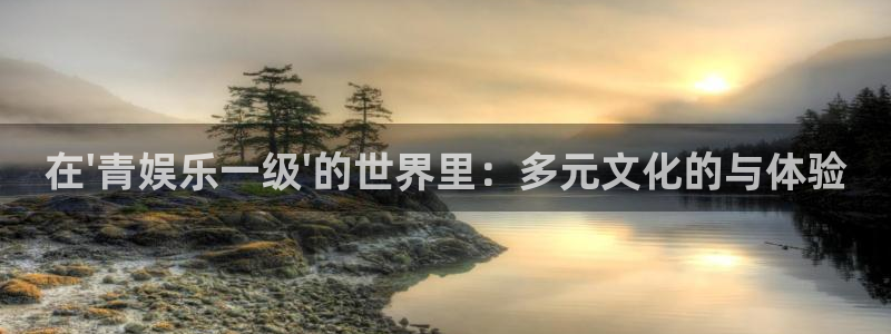 琳琅娱乐：在\'青娱乐一级\'的世界里：多元文化的与体验