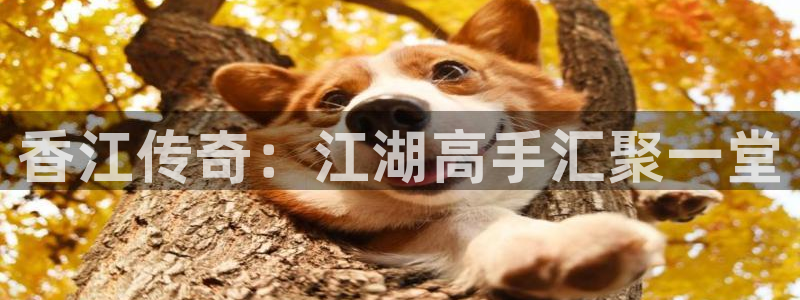 琳琅娱乐：香江传奇：江湖高手汇聚一堂