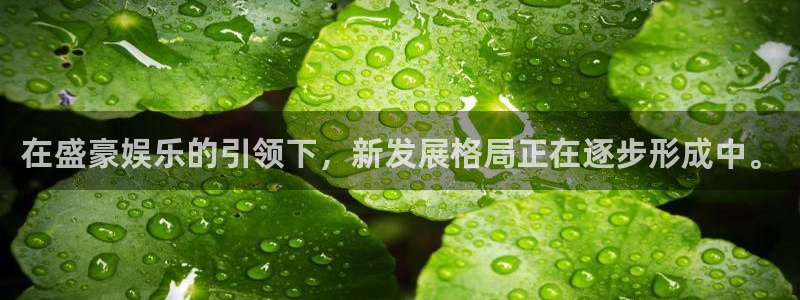 琳琅娱乐注册
