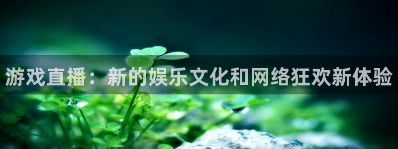 琳琅娱乐：游戏直播：新的娱乐文化和网络狂欢新体验
