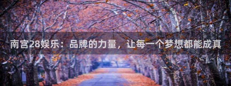 琳琅娱乐注册：南宫28娱乐：品牌的力量，让每一个梦想都能成真