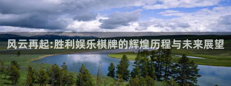 琳琅娱乐：风云再起:胜利娱乐棋牌的辉煌历程与未来展望